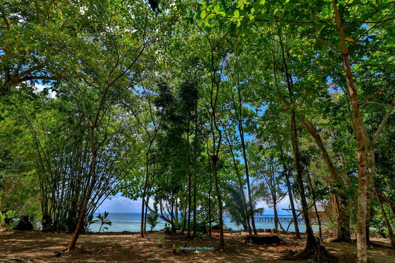Hamueco Dive Resort Raja Ampat Rabia Dış mekan fotoğraf